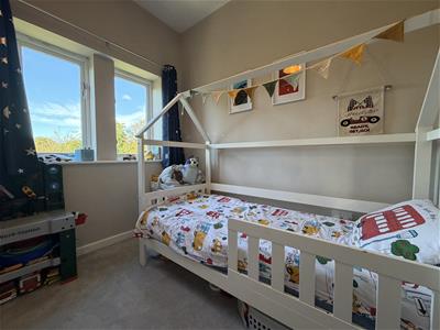 Picture 8